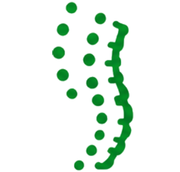 Aneurysms